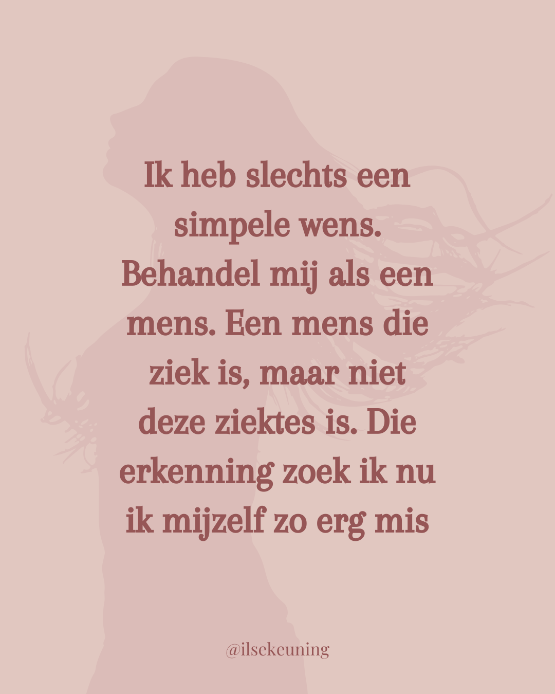 social media ontwerp flevoland